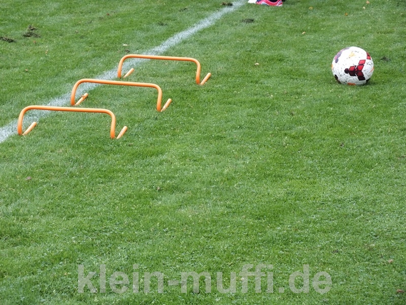training03092013_118.jpg