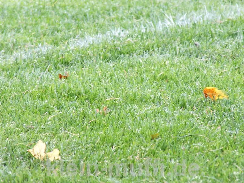 training03092013_357.jpg