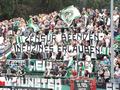 cottbus_06082014_060.jpg