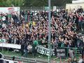 dortmund23052015_183.jpg