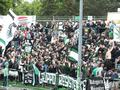 dortmund23052015_364.jpg