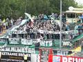 dortmund23052015_385.jpg