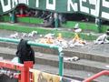 dortmund23052015_411.jpg