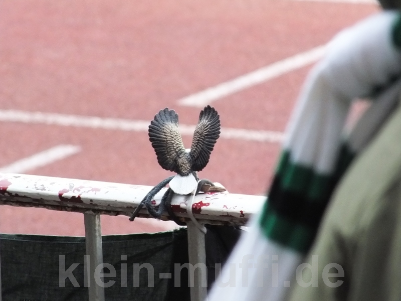 dortmund30112014_110.jpg