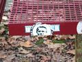 dortmund30112014_003.jpg