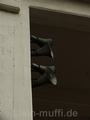 dortmund30112014_054.jpg