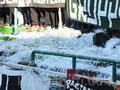 duisburg02112014_211.jpg
