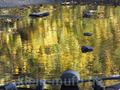 duisburg02112014_396.jpg
