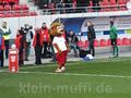 halle04042015_220.jpg