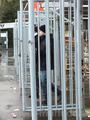 kiel21022015_137.jpg