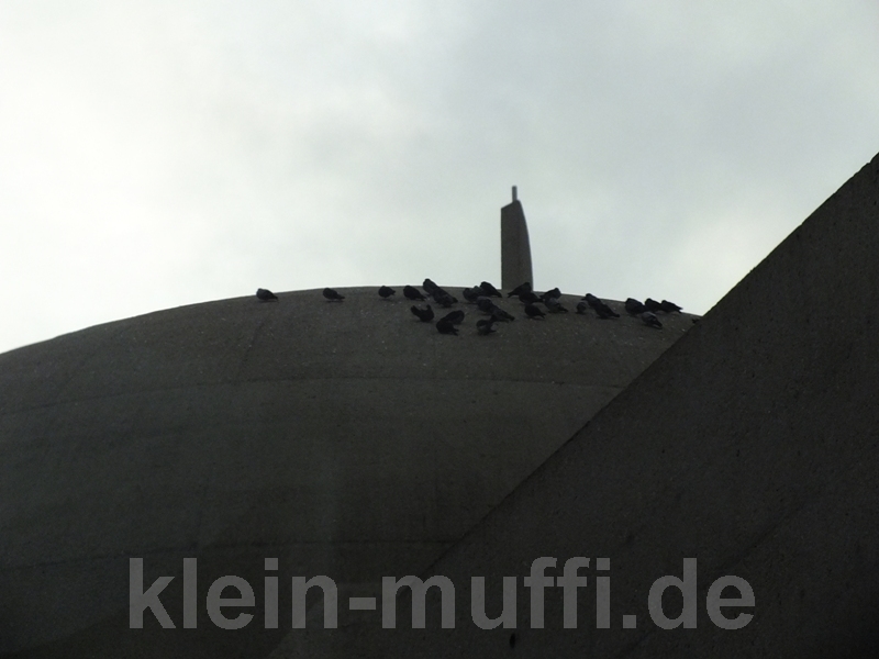 koeln24102014_025.jpg