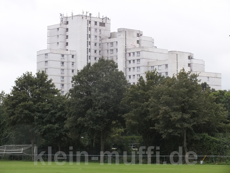 muenchen_17082014_343.jpg