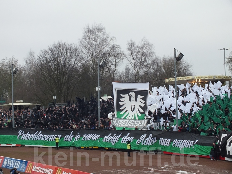 osnabrueck07022015_058.jpg