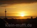 reutlingen09112014_009.jpg