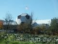 reutlingen09112014_044.jpg