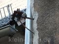 reutlingen09112014_074.jpg