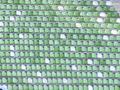 reutlingen09112014_164.jpg