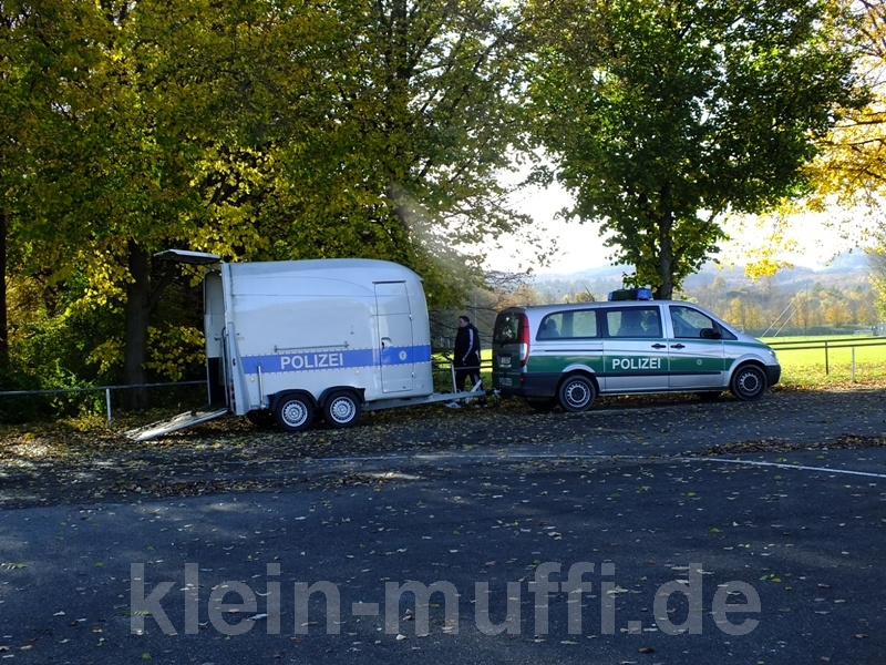 reutlingen09112014_112.jpg