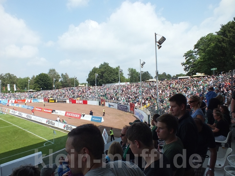dscf2076.jpg
