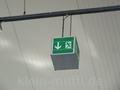 wehen_07092014_037.jpg