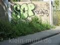 wehen_07092014_112.jpg