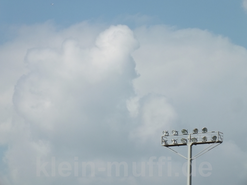wehen_07092014_020.jpg