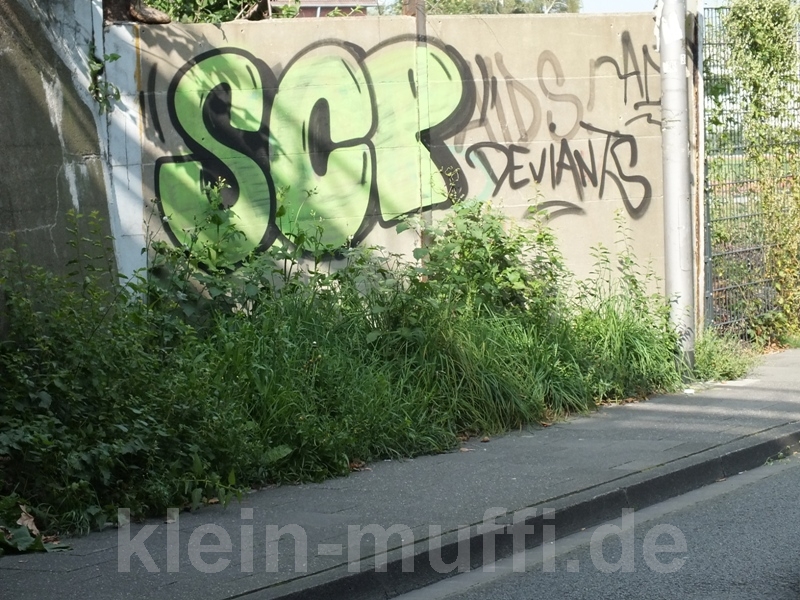 wehen_07092014_112.jpg