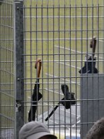 2026-02-22_kaiserslautern_23h_026