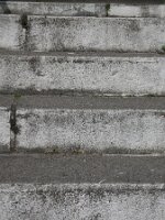 2026-03-08_hertha_25h_012