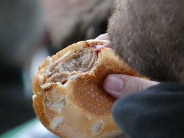 2026-03-08_hertha_25h_067