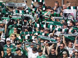 2026-03-08_hertha_25h_078