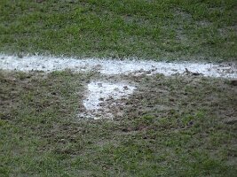 2026-03-08_hertha_25h_167