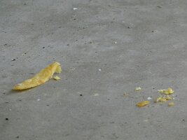 2026-04-25_bielefeld_31h_216